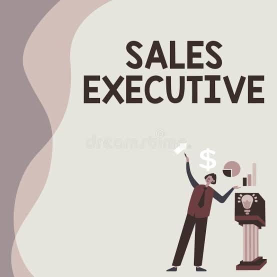 Sales executive